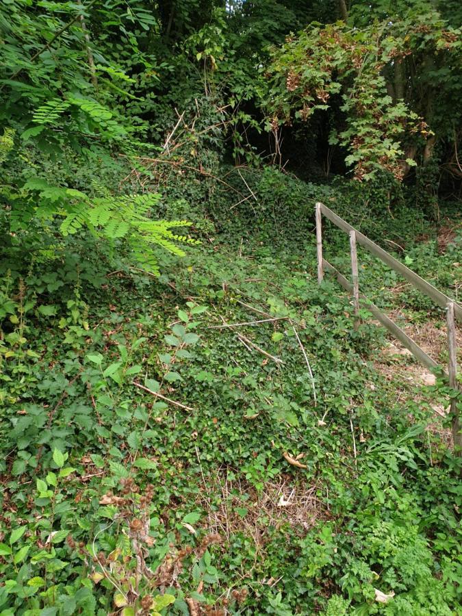 Villa À flanc de colline à Cormeilles  Extérieur photo